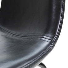 Cargar imagen en el visor de la galería, Phoenix