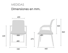 Cargar imagen en el visor de la galería, FRIDA OHV-115