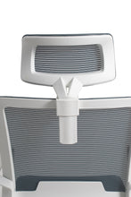 Cargar imagen en el visor de la galería, Maldovia