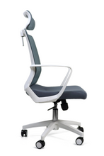 Cargar imagen en el visor de la galería, Maldovia