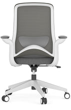 Cargar imagen en el visor de la galería, DOLPHIN OHE-111Gris