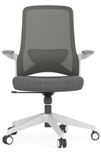 Cargar imagen en el visor de la galería, DOLPHIN OHE-111Gris