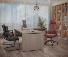 Cargar imagen en el visor de la galería, Omega Respaldo Alto