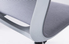 Cargar imagen en el visor de la galería, BIO OHE-113Gris
