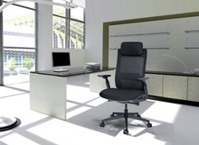 Cargar imagen en el visor de la galería, QUO OHE-805Negro
