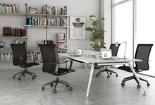 Cargar imagen en el visor de la galería, BIO OHE-114Negro
