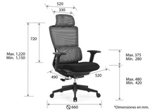 Cargar imagen en el visor de la galería, DILLON OHE-35Negro
