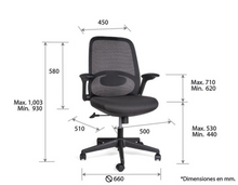 Cargar imagen en el visor de la galería, ROLY OHE-403Negro
