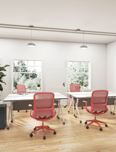 Cargar imagen en el visor de la galería, RAINBOW OHE- 101
