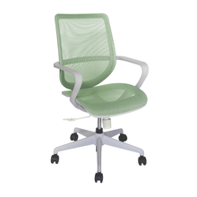 Cargar imagen en el visor de la galería, EVOLUTION OHE-99Gris / Verde
