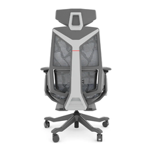 Cargar imagen en el visor de la galería, Dragon Gamer 001
