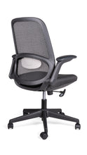 Cargar imagen en el visor de la galería, ROLY OHE-403Negro
